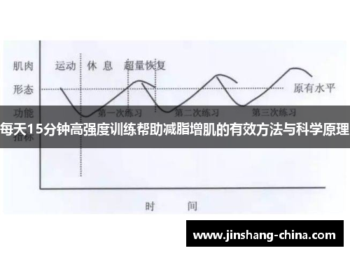 每天15分钟高强度训练帮助减脂增肌的有效方法与科学原理